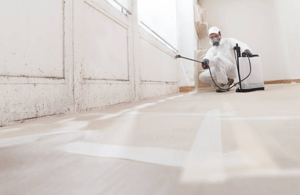 24/7 Emergency Crawl Space Mold Remediation experts in Maple, NC